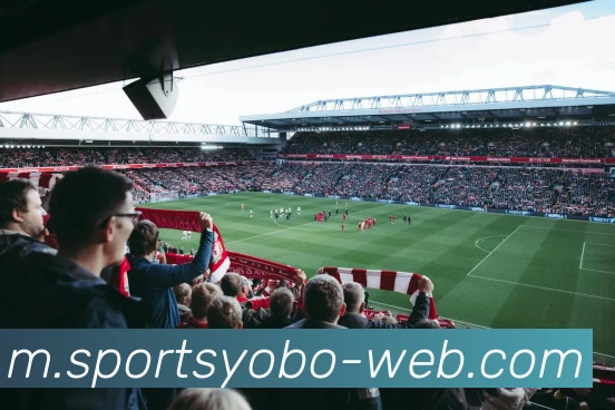 yobo体育发展历程