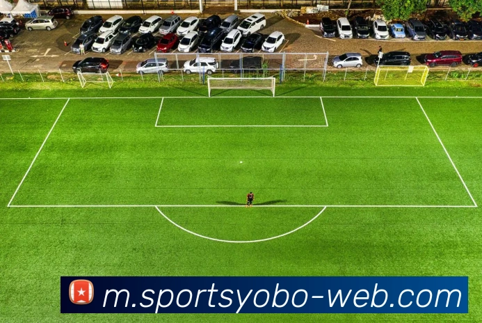 曼城薪资排行榜揭晓哈兰德高居榜首格伊与B席紧随其后